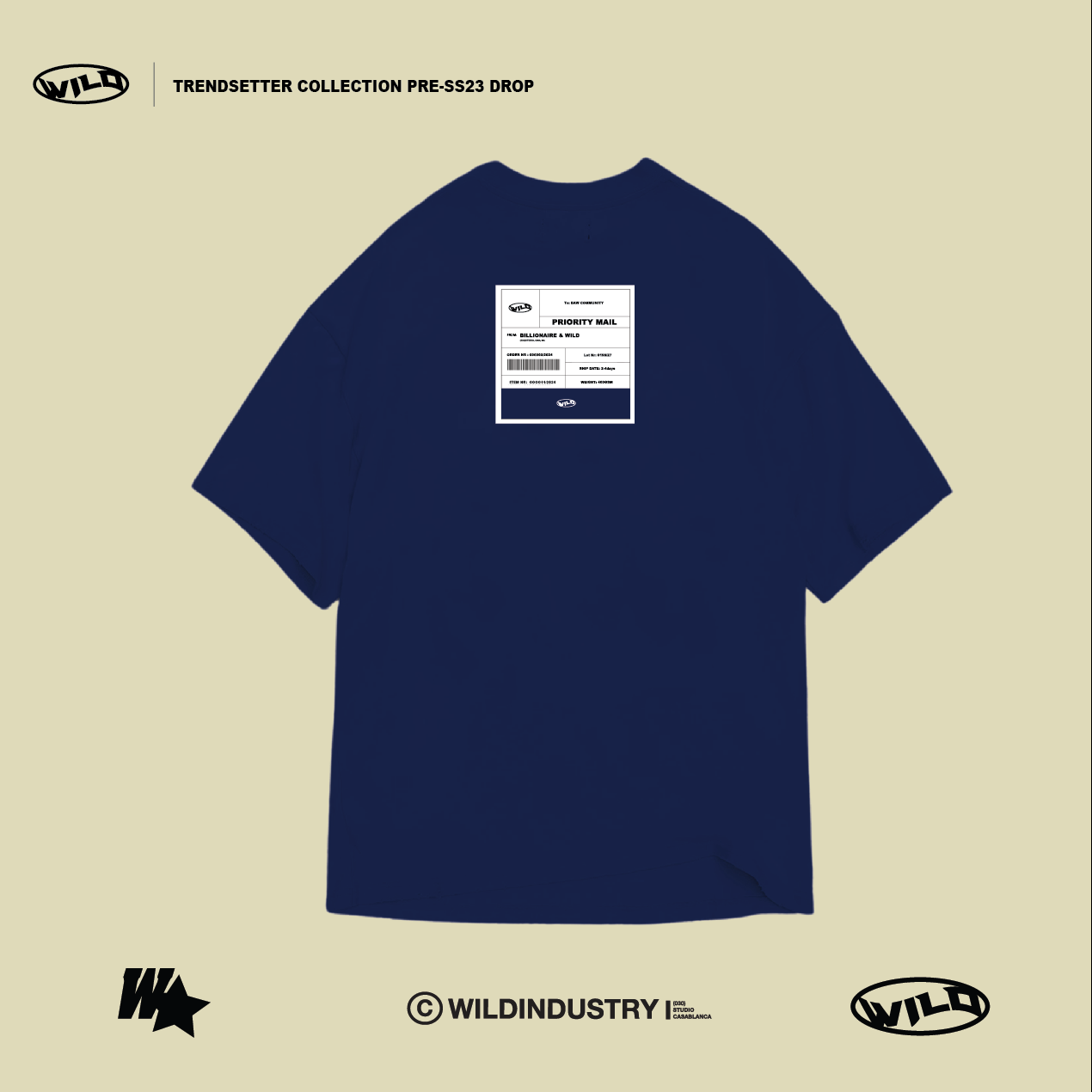 PRIORITY MAIL CHECK