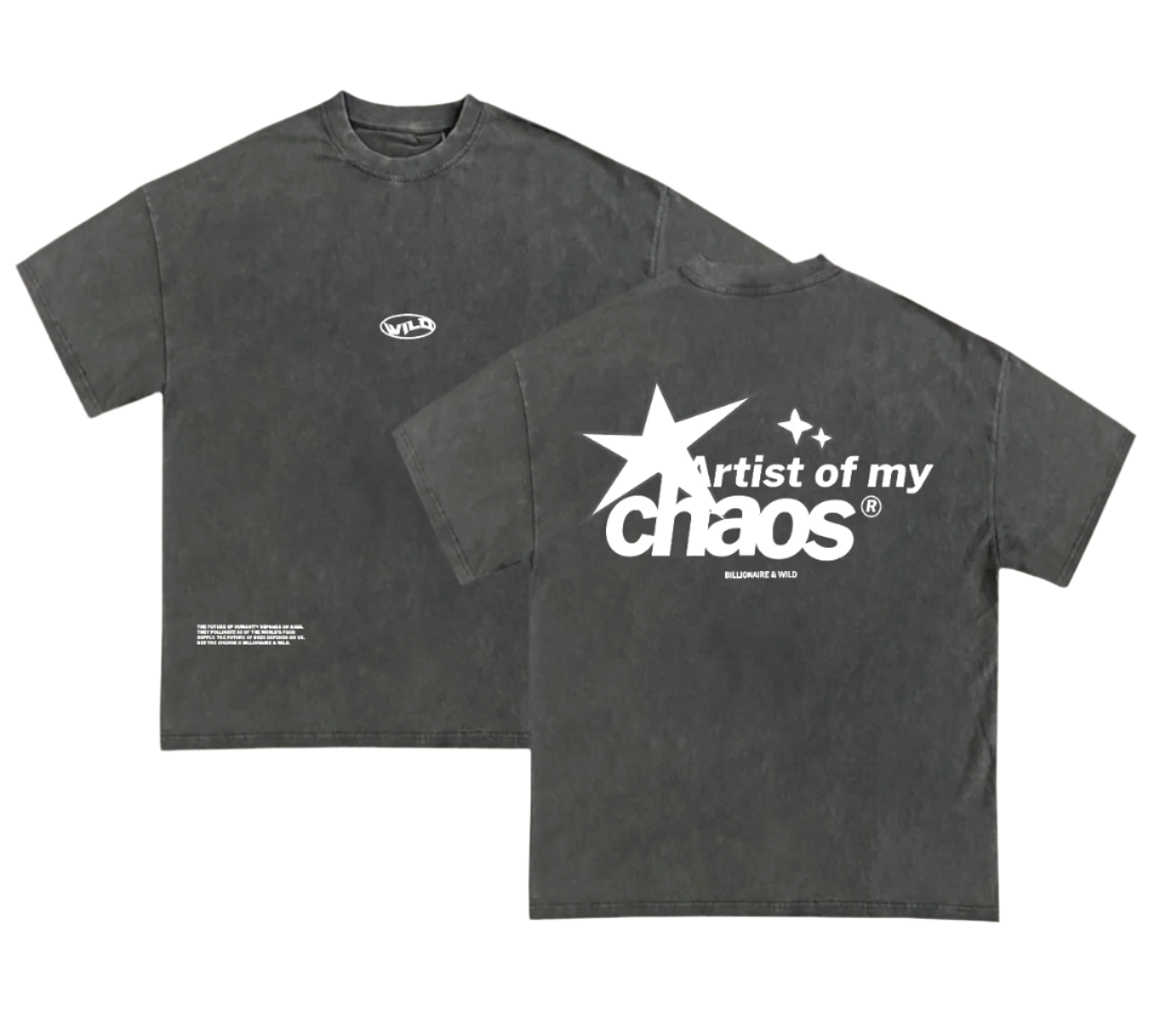 ARTIST OF MY CHAOS - GREY