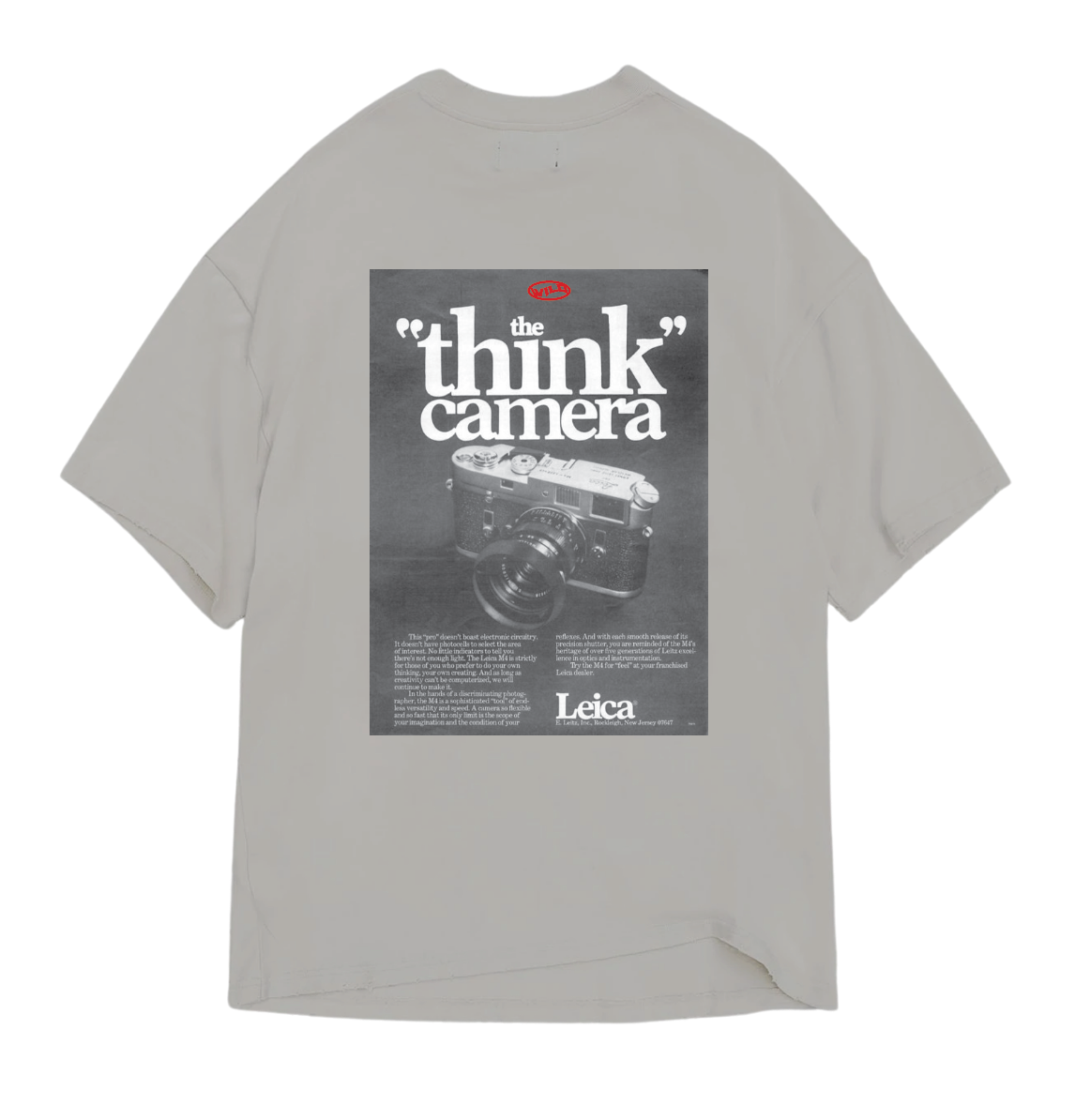 THE THINK CAMERA