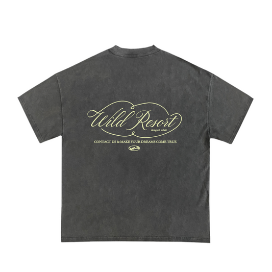 NO PUBLIC ACCESS - WASHED TEE