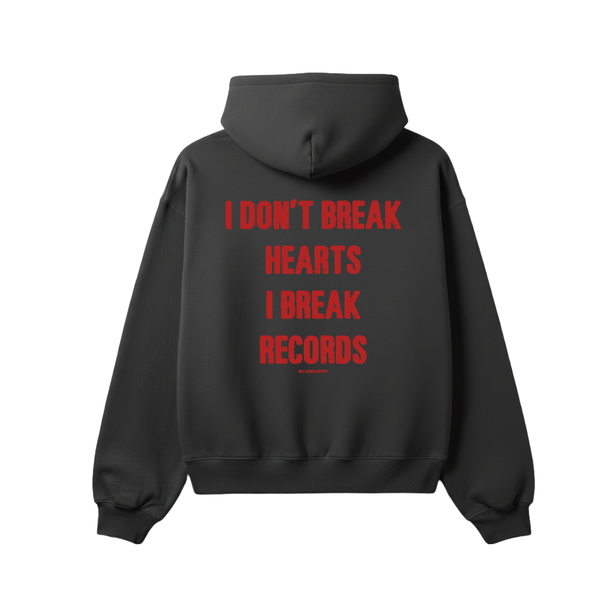 RECORDS BREAKER HOOD