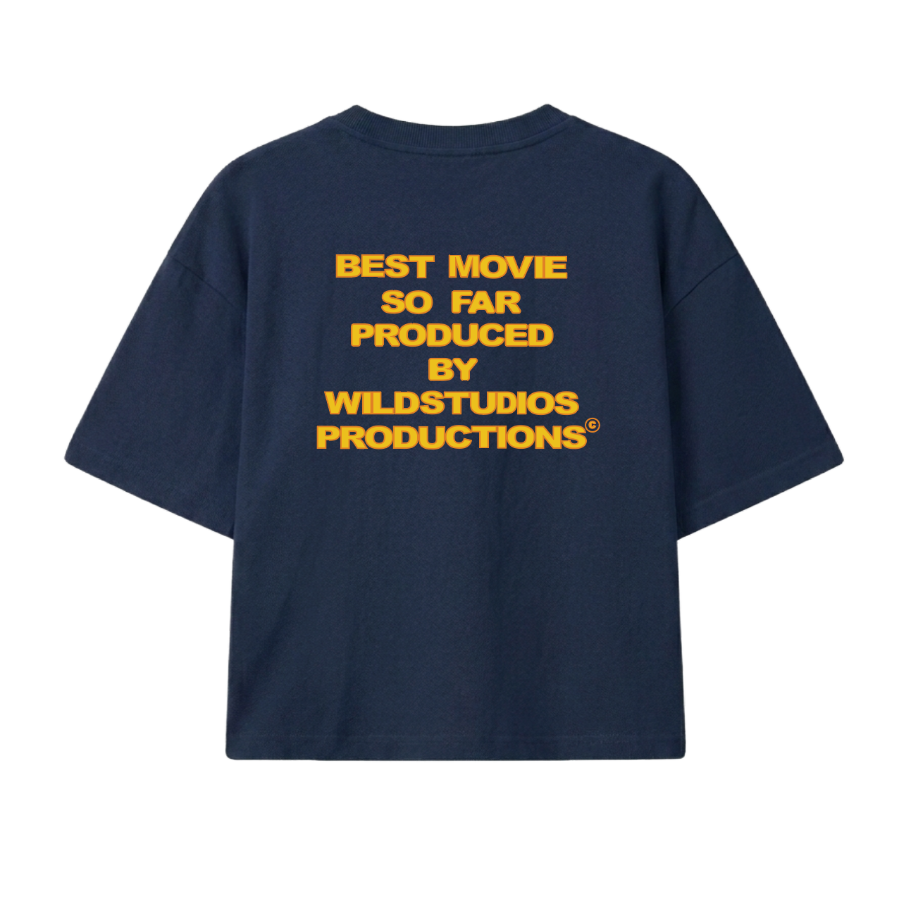 WILDSTUDIOSFILM