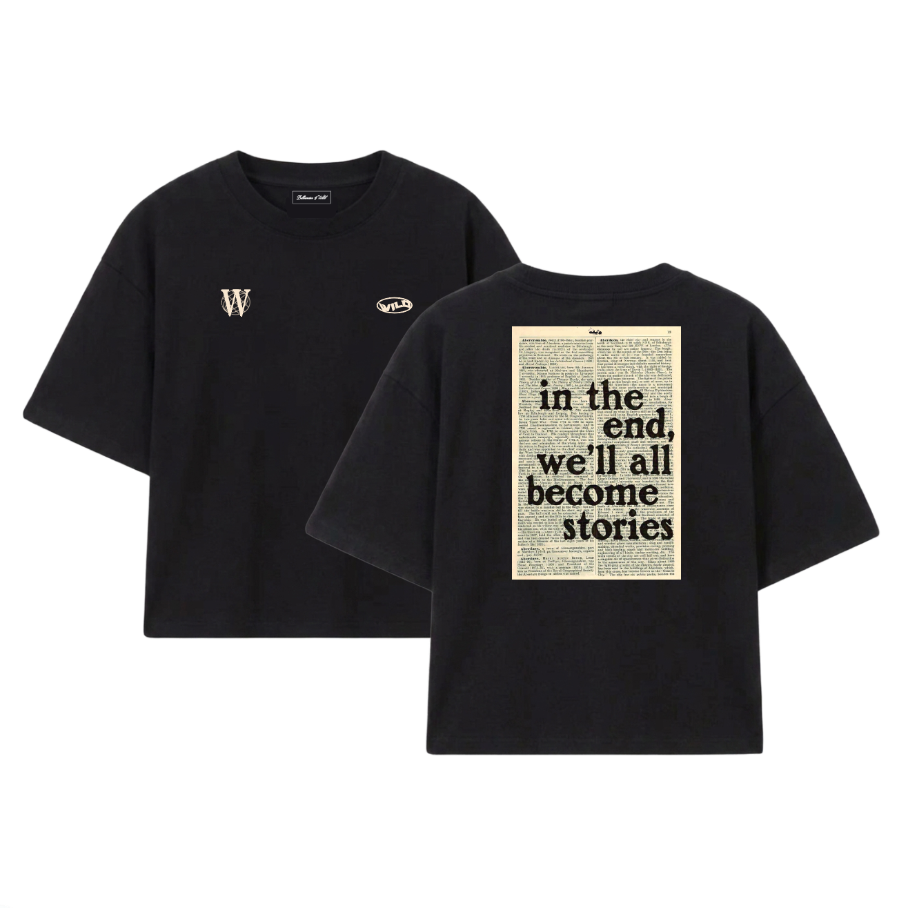 IN THE END WE'LL ALL BECOME STORIES