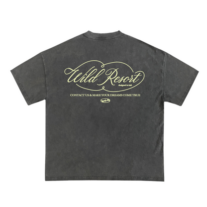 NO PUBLIC ACCESS - WASHED TEE