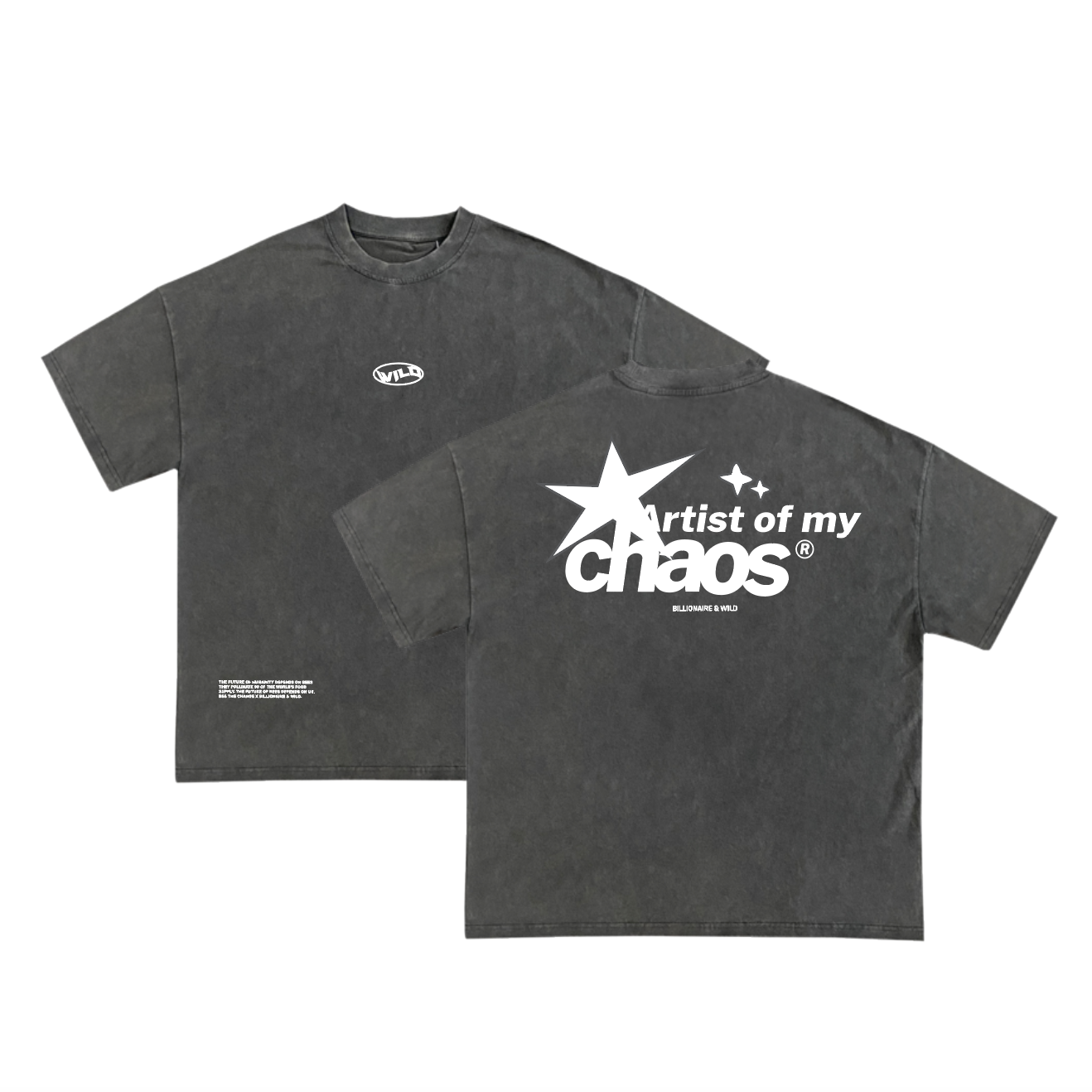 ARTIST OF MY CHAOS - GREY